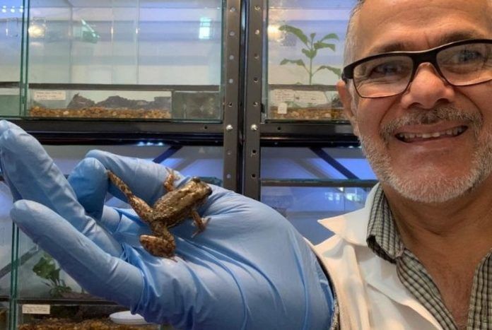 Imagen de la diapositiva